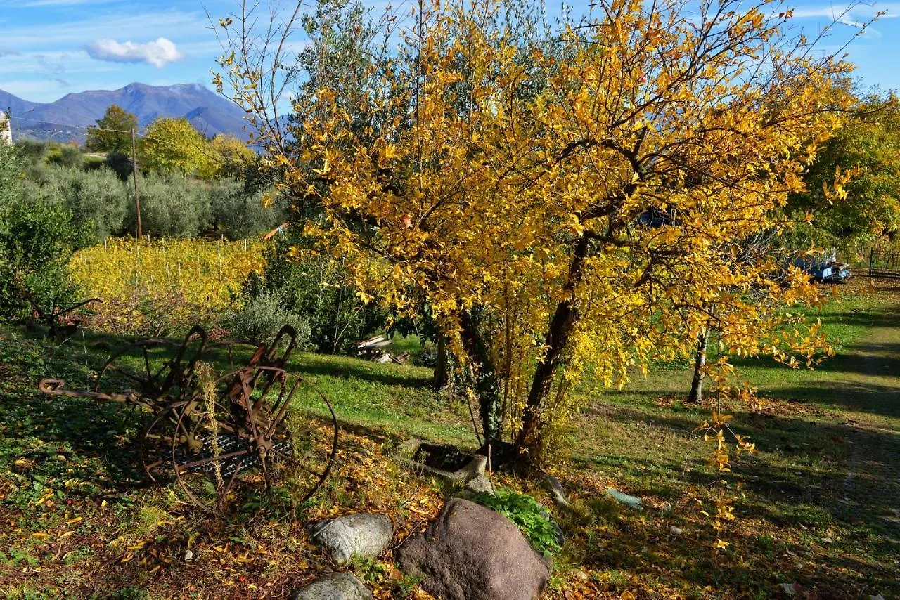 Antiche Mura Casa Vacanze Puegnago del Garda Appartamento