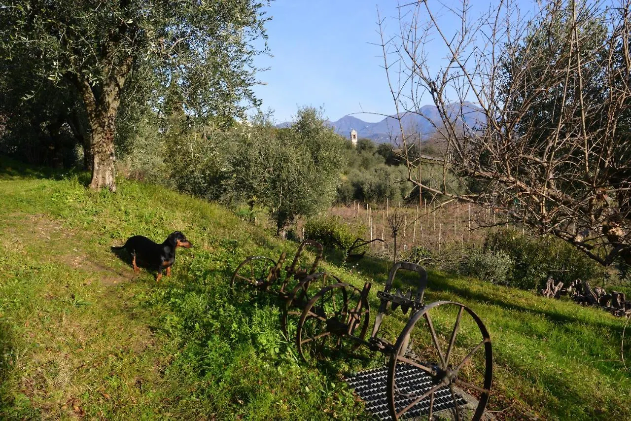 Antiche Mura Casa Vacanze Puegnago Olaszország