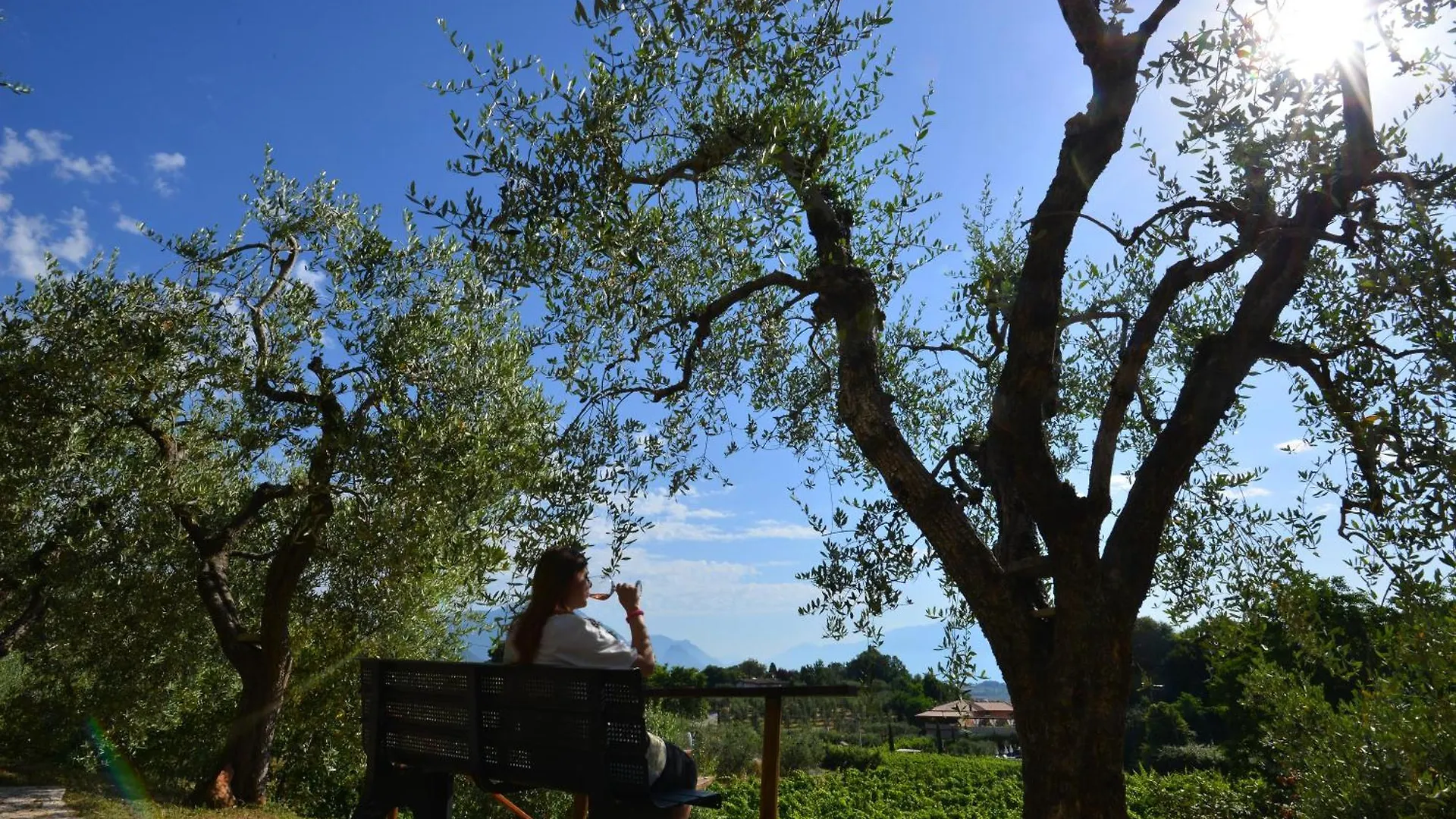 Antiche Mura Casa Vacanze Puegnago